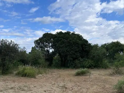 Oportunidad terreno con escritura en villa de las rosas 