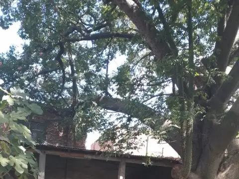 Bartolome Mitre  939 900