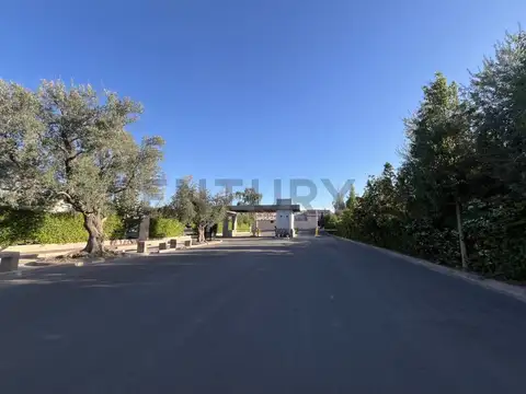 Terreno en Venta 12  mts Frente