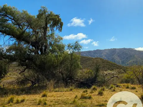 ESPECTACULAR FRACCIÓN EN CARPINTERÍA, SAN LUIS