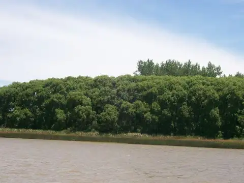 Rio / Arroyo San Antonio y Dientudo 100