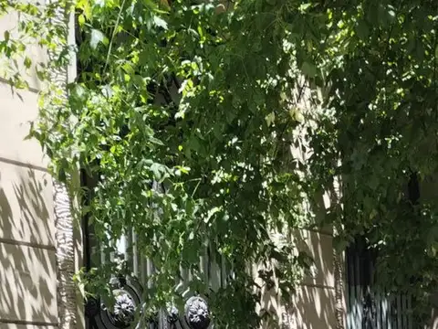 Avenida Belgrano 300