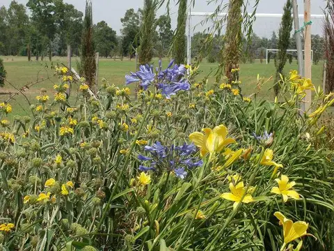 Terreno en Venta en Santa Rita, USD 42.000