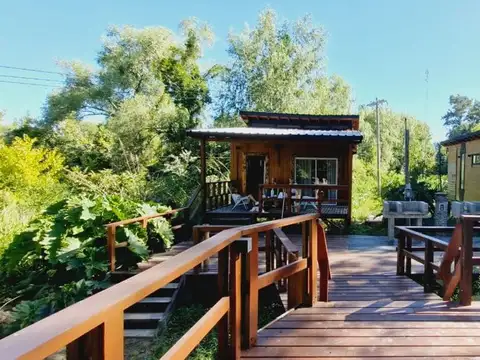 Arroyo Rama Negra Delta Tigre 800