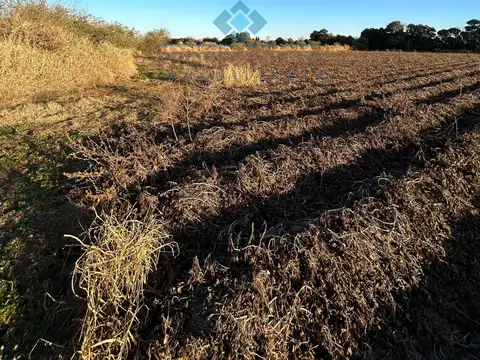 Quinta en Venta en Colonia Caroya, USD 20.000