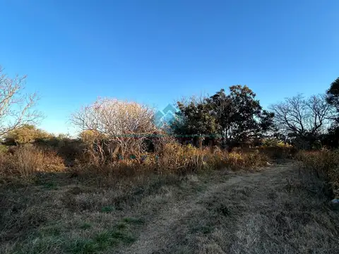 Quinta en Venta 2024 años