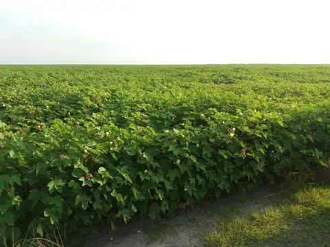 Estancia Agríc.ganadera en INTIYACO