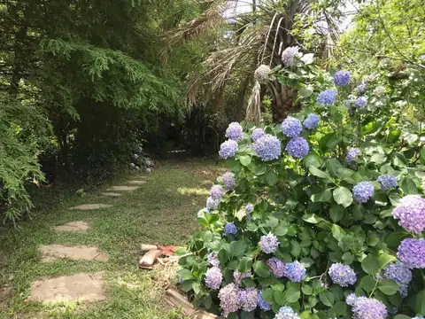 Terreno en Venta 100  mts Frente