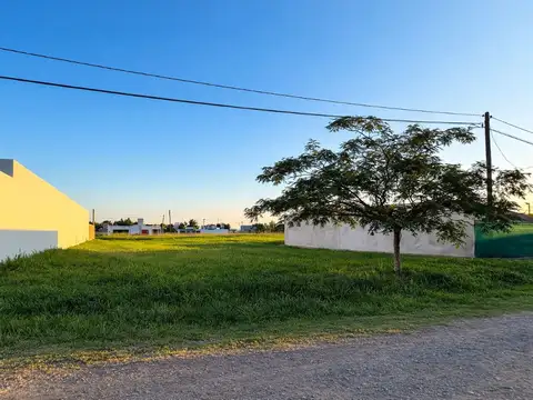 Basilio Delzoppo 1600