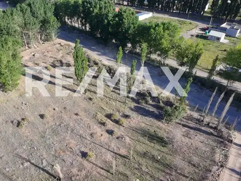 General Racedo y Fernandez oro