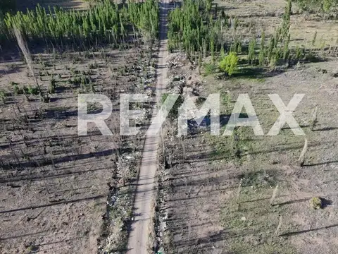 VENTA CHACRA 10,5 HECTAREAS - PLOTTIER.