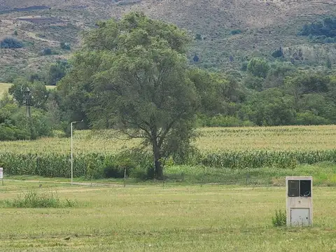 VENTA DE TERRENO PREMIUM ESTANCIA GRANDE