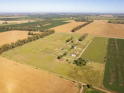 Terreno en Venta de 10000,0 m2