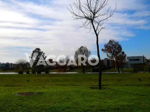 Country Terravista