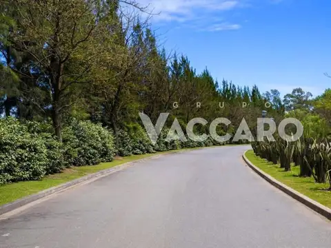 Country Terravista