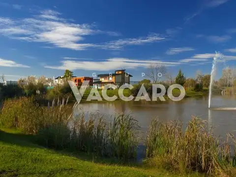 Country Terravista