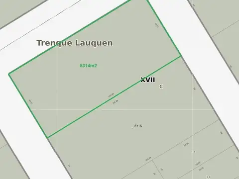 Batallon 2 de Infanteria . Entre Roca y Avellaneda