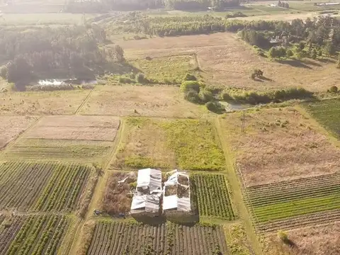 Venta chacra rural en Progreso 6 Hectáreas