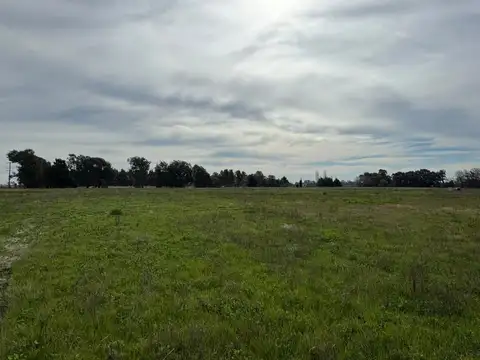 Terreno en Venta de 10000,0 m2