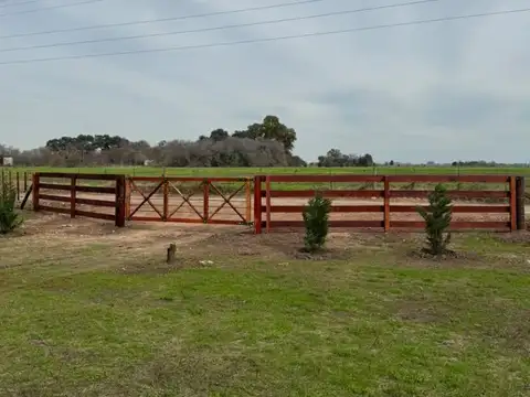 Terreno en Venta de 10000,0 m2