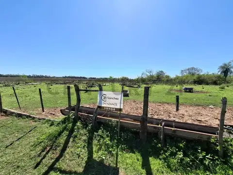 Venta - Campo Citrícola/Hortícola - Ganadero - Bella Vista - Corrientes