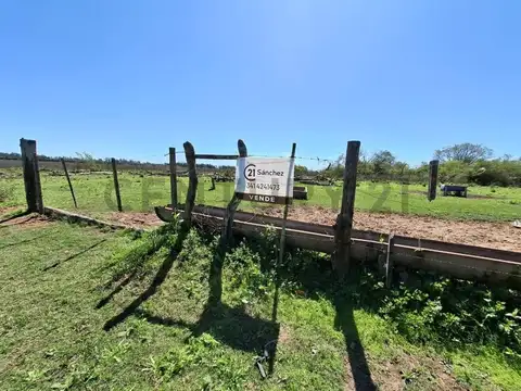 Venta - Campo Citrícola/Hortícola - Ganadero - Bella Vista - Corrientes