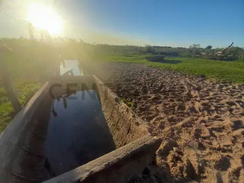 Paraje Lomas 200, Piso 0
