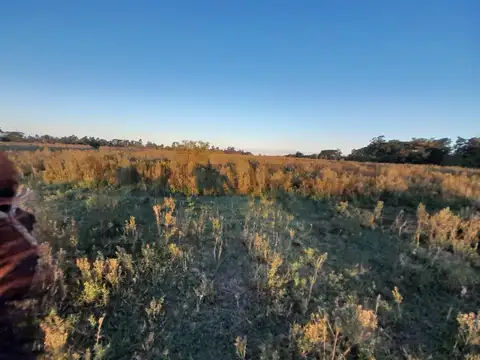 Paraje Lomas 200, Piso 0
