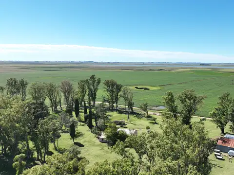Campo en Venta Mixto