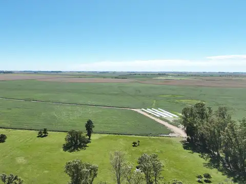 Campo en Venta de 1.200  ha