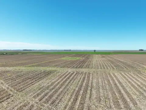 Campo en Venta de 1.200  ha