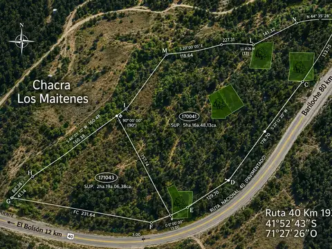 El Bolsón - Chacra "Los Maitenes" - Ruta 40 - venta