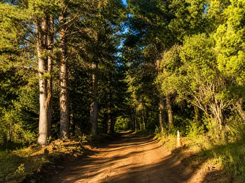 EL BOLSÓN - CHACRA "LOS MAITENES" - SOBRE RUTA 40 - 7.5 Ha - FINANCIADO
