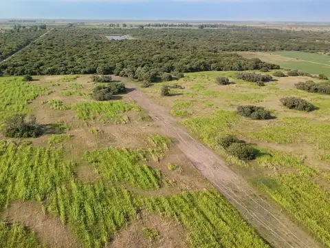 VENTA DE CAMPO EN SAN JERONIMO DEL SAUCE 252 has