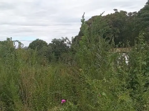 Terreno en Venta de 564,0 m2