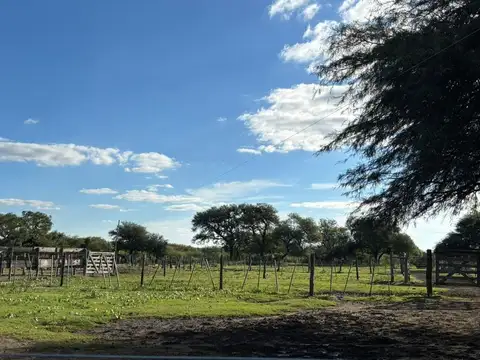 Se vende Campo en Moussy a 20 km  Reconquista