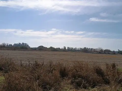 Campo de 10h con Galpon en Recreo Sur