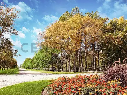 Terreno en Venta 72,50  mts Fondo