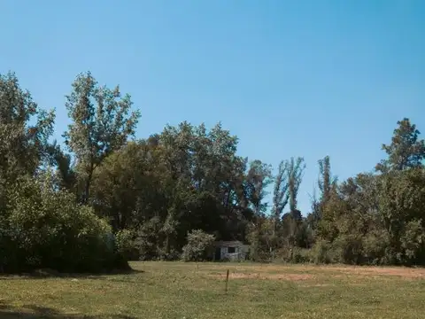 Terreno en Venta de 250,0 m2