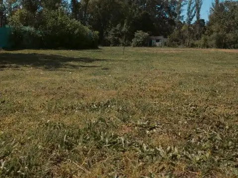 VENTA LOTE 250M2 - A MTS DEL CRUCE DE RUTA 8 Y 26-DEL VISO