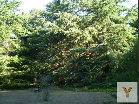 Terreno en Venta en Villa Ventana, USD 440.000