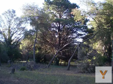 Terreno en Venta de 9424,0 m2