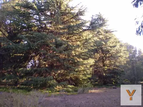 Terreno en Venta de 9424,0 m2