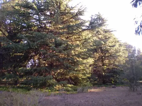 Terreno en Venta de 9424,0 m2