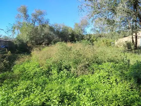 Terreno 2 de diciembre  S/N , Anguil