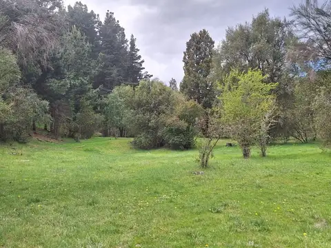 Camino a Cascada de Nahuelpan