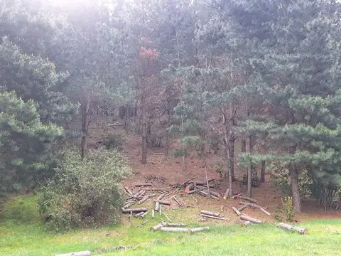 Camino a Cascada de Nahuelpan