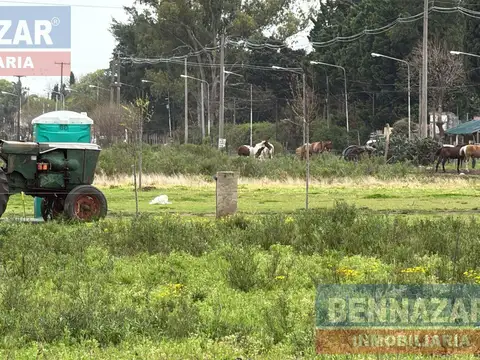 Venta Campo 80 Hectáreas en El Paraíso
