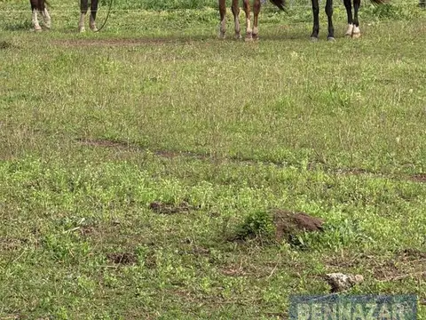 Venta Campo 80 Hectáreas en El Paraíso