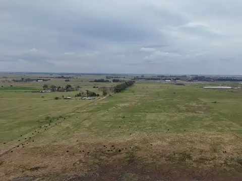 CAMPO 72 HAS ZONA BRANDSEN  AUTODROMO LA PLATA